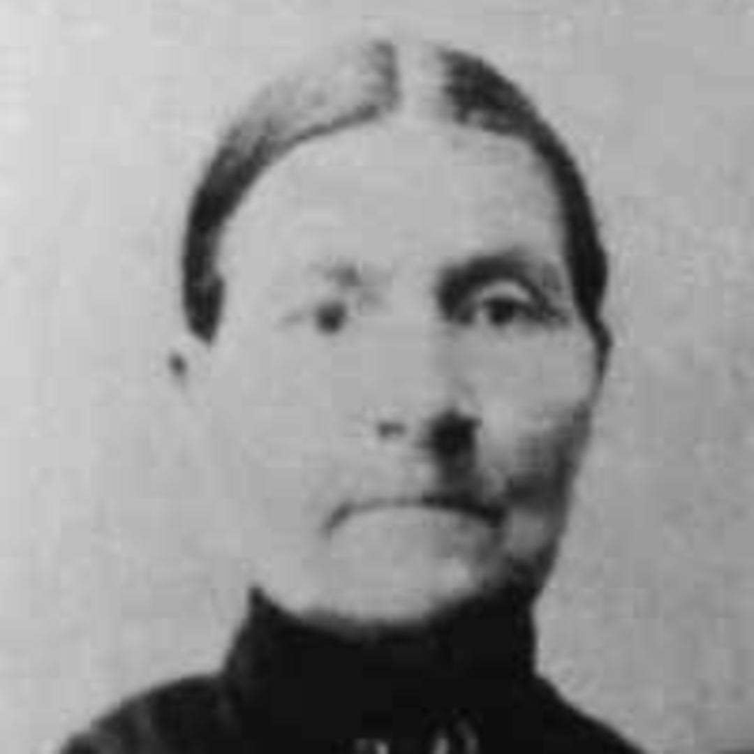 Susanna Aroline Wadsworth (1836 - 1917) Profile